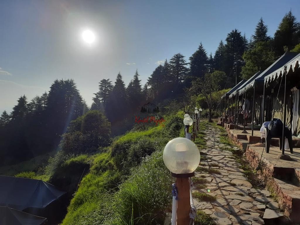 Camp in Kanatal